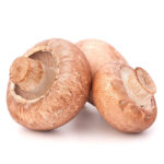 brown-champignon-mushroom-2021-08-31-07-03-12-utc.jpg